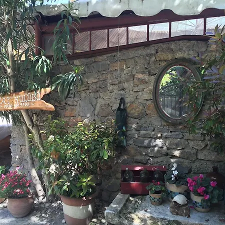 Homestay szállás Tuzla Yacht Club *