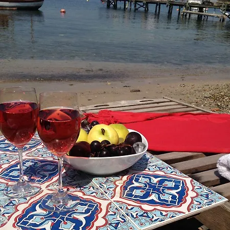 Проживание в семье Tuzla Yacht Club *