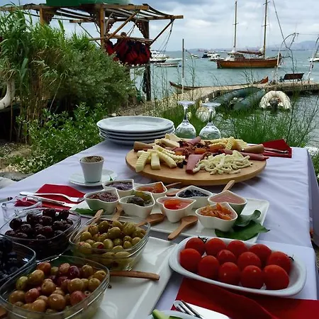 Tuzla Yacht Club Pansiyon *